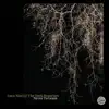 Luca Nieri - Luca Nieri & the Dark Branches (Never To Learn) - EP